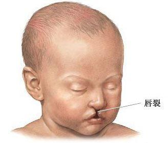 4980489920aabacb17640084befef756.png