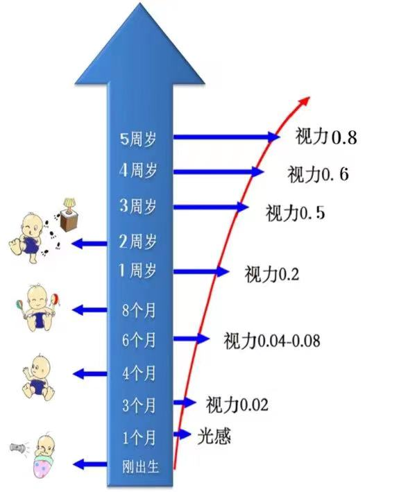 b813aae03aced0751e594d230a8355dc.png