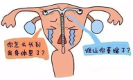 6673e6715ecc5.png