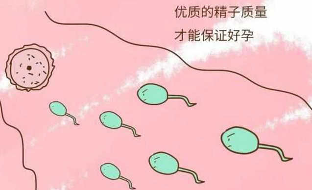 a388bf8e46dfe053b2cf6beb140191bb.png